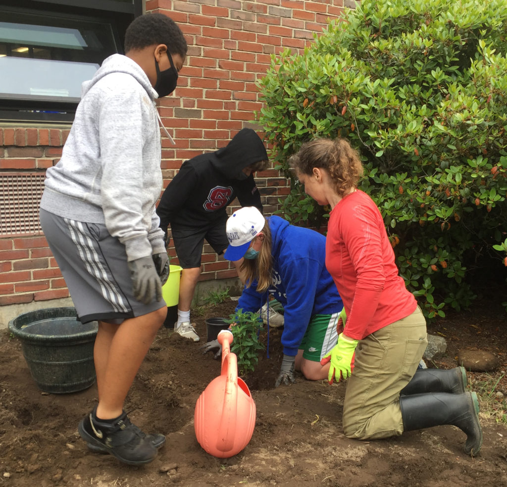 Youth planting perennials that will attract pollinators at Galvin Middle School